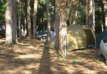 Фотографии Гостевой дом Sosnovy Ray Camping г. Архипо-Осиповка Краснодарский край (Россия) №1 Фото Гостевой дом Sosnovy Ray Camping г. Архипо-Осиповка 1